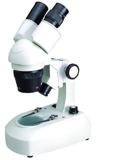 Seben Microscopio Stereo Incognita 20x+40x+80x equipaggiamento completo