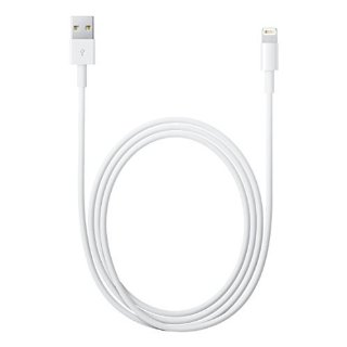 Apple MD818ZM/A Cavo Original Câble Lightning vers USB par iPhone 5, 6, 6S, 6S+ (Non in confezione di vendita)
