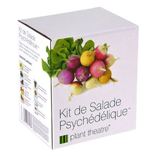 Recensioni dei clienti per Kit Psychedelic Insalata dal Teatro Plant - 5 insalate incredibili per coltivare auto - Idea Regalo | tripparia.it