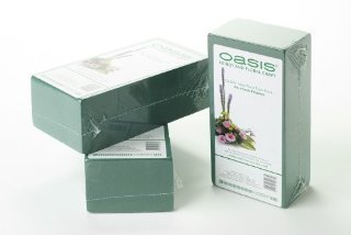 Recensioni dei clienti per OASIS - Schiuma di fiori mattone | tripparia.it