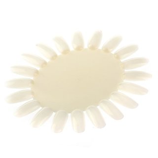 Pixnor Nail Art acrilico a forma di girasole 10pz punte falso falso smalto tavolozza pratica ruota tabelloni (Beige)