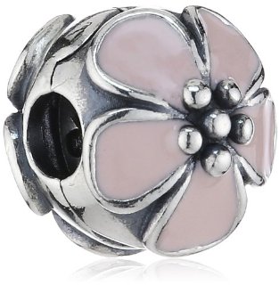 Pandora - Ciondolo da donna, argento sterling 925 e smalto, cod. 791041EN40