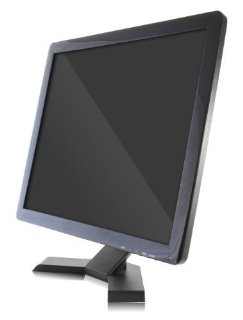 ProSecure monitor LCD da 19
