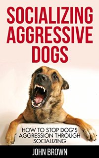 Socializing Aggressive Dogs: How to Stop Dog's Aggression Through Socializing (English Edition)