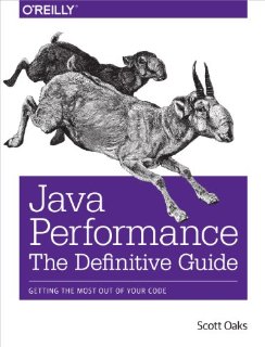 Java Performance: The Definitive Guide