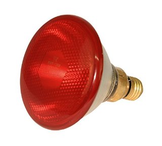 Recensioni dei clienti per Kerbl 22246 infrarossi lampada a risparmio 100W, rosso | tripparia.it