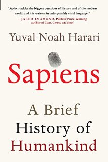 Sapiens: A Brief History of Humankind