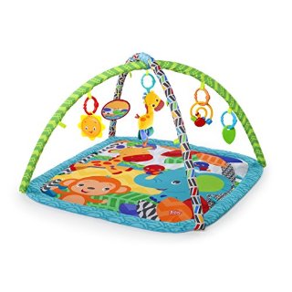 Bright Starts/Kids II 52169 Zippy Zoo Palestrina Gioco, Multicolore