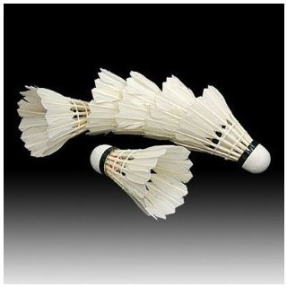 Recensioni dei clienti per SODIAL (TM) 6PCS bianco Badminton | tripparia.it