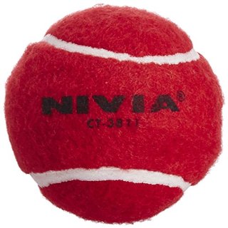 Nivia, palla da Cricket con pallina d...