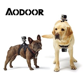 Aodoor Montaggio / Imbracatura Di Cane / Gatto Per Camere GoPro Hero HD 4 / 3+ / 3 / 2 SJCAM Sj5000+ Sj5000 Sj4000 - Realizzato In Neoprene Di Alta Qualità - Regolabile