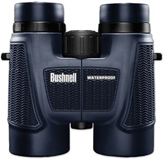 Bushnell 10X42 H2O Binocolo