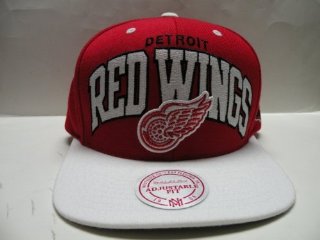 Recensioni dei clienti per Mitchell & Ness NHL Detroit Red Wings Arch 2 Tone Retro Snapback Cap | tripparia.it