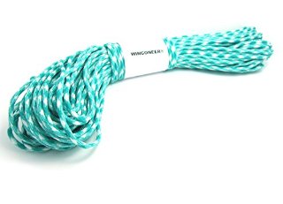 WINGONEER® 550 Paracord Mil Spec Type III 7 cavo per paracadute lago blu 100 piedi