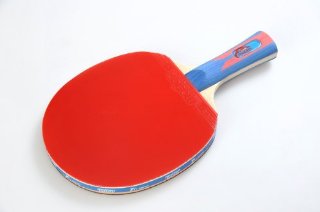 Recensioni dei clienti per Partner di movimento professionista racket per ping pong / ping pong / Tischtennischläger, 6 stelle, con tasca (MP602 DE) | tripparia.it