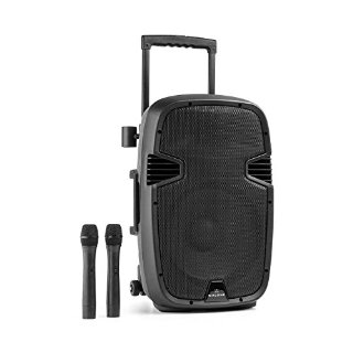 Malone Bushfunk 30 Cassa Bluetooth Karaoke Altoparlante Attivo PA (700 Watt Max, USB SD MP3, ABS, microfono VHF, telecomando)