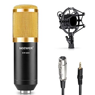 Neewer® NW-800 Professionale Studio Radiotelevisivo & Registrazione Microfono Set include (1) NW-800 Professionale Microfono a Condensatore + (1) Microfono Shock Mount + (1) Tappo di Schiuma a Sfera Anti-vento+ (1) Microfono Cavo di Alimentazione (Nero)