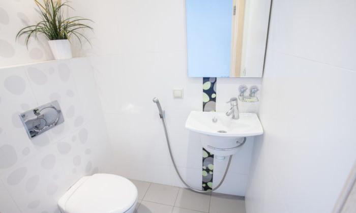 Toilette di colore chiaro con pseudo-bidet e lavandino