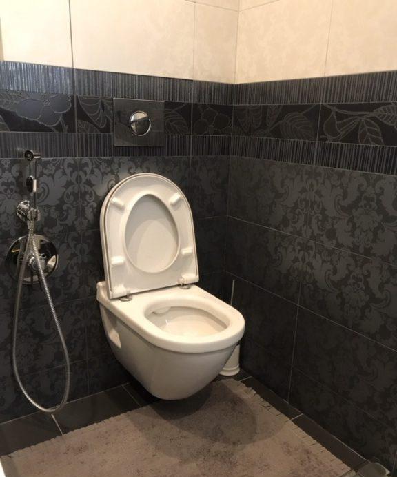 Pseudo bidet design WC